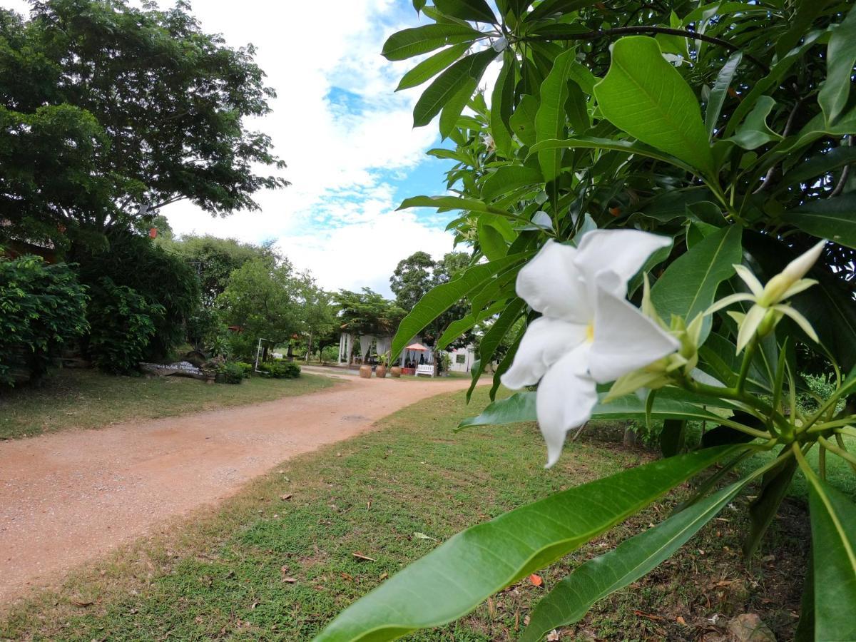 Naracha Resort Mueang Kao Екстериор снимка